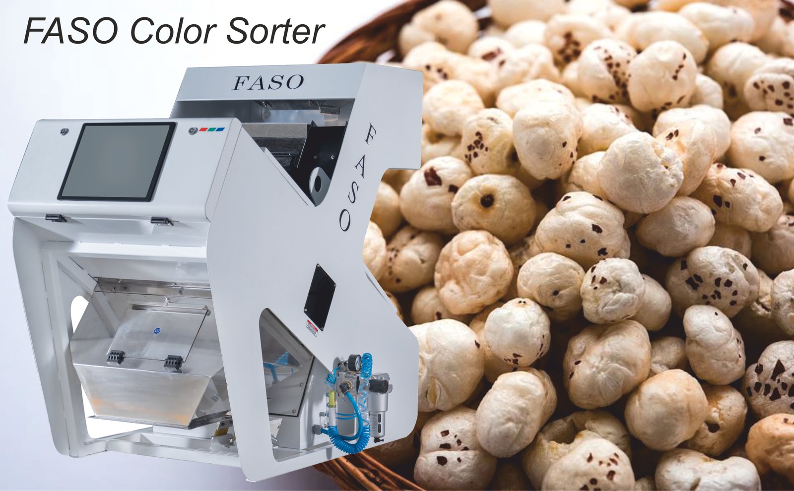 Automated Makhana Processing Guide